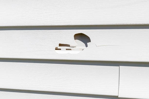 Same-Day Junk Removal Services in Dix Hills, NY